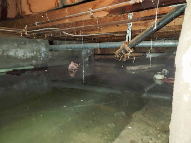 24/7 water damage repair in Paloma Creek South, TX