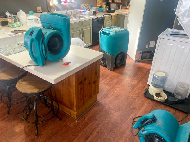 Sewage cleanup and water damage restoration in Paloma Creek South, TX