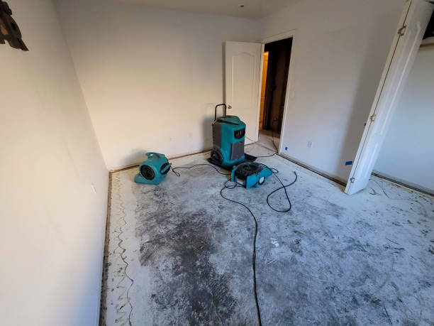 Water damage restoration mold remediation in Paloma Creek South, TX