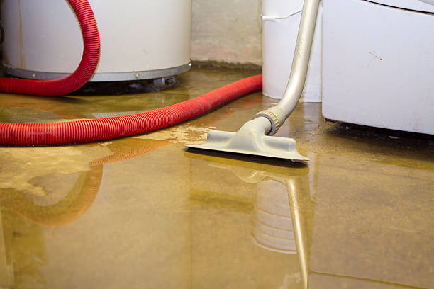 Best Sewage cleanup and water damage restoration  in Paloma Creek South, TX