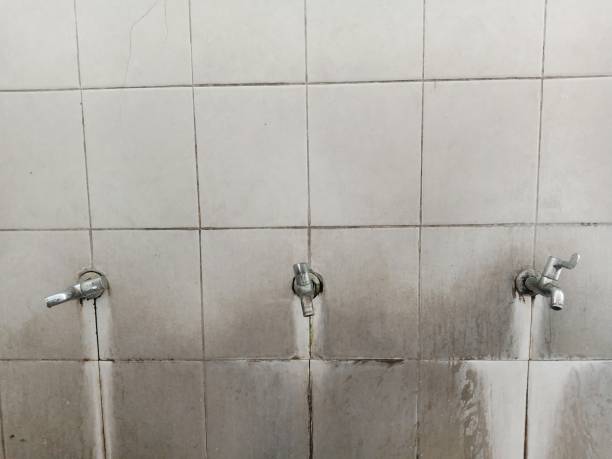 Best Commercial water damage restoration  in Paloma Creek South, TX
