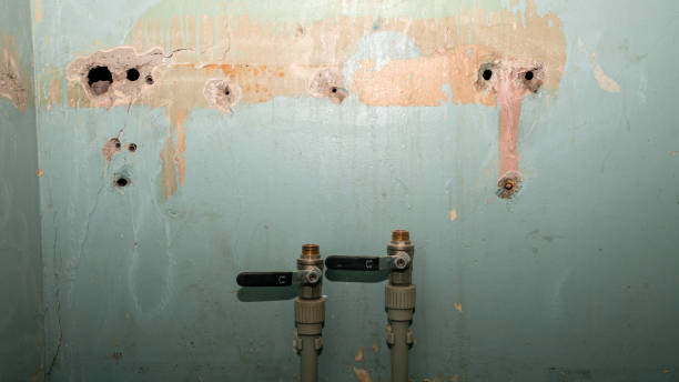 Best Water damage restoration near me  in Paloma Creek South, TX
